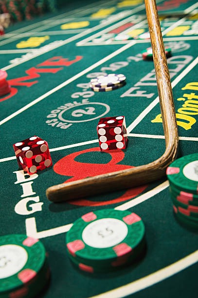 555zk What Makes Live Game Shows Stand Out